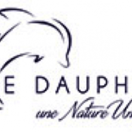 camping le dauphin 9